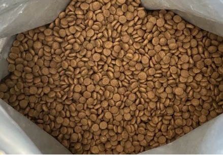 久生FIT猫粮测评|体重控制猫粮全攻略 久生猫粮好不好?