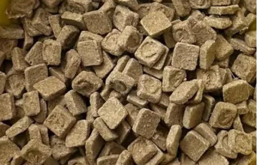 高蛋白鸭肉烘焙猫粮测评|适合增肌猫咪的营养选择 金故鸭肉烘焙猫粮怎么样?