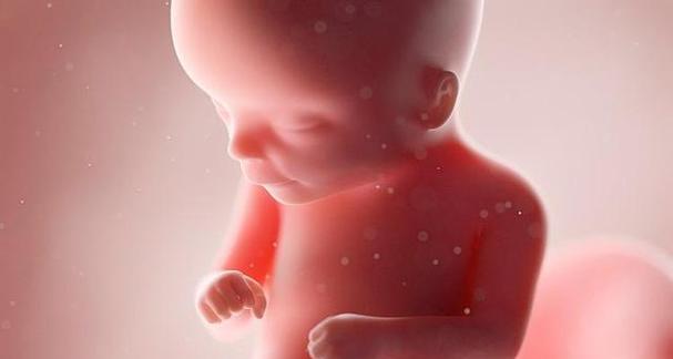 胎儿睁眼时间全攻略|视觉发育过程揭秘 胎儿睁眼时间全攻略|视觉发育过程揭秘