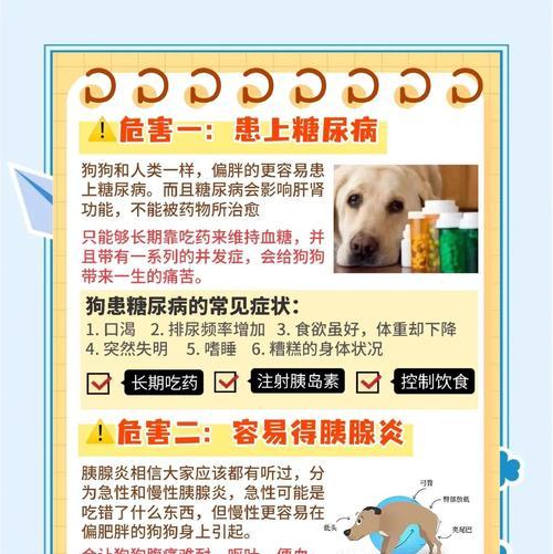 狗狗能喝牛奶吗？｜实用指南解答消化与健康问题