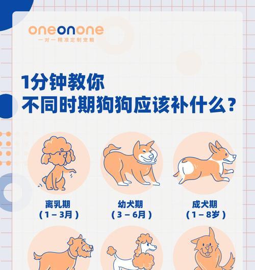 狗狗能喝牛奶吗？｜实用指南解答消化与健康问题