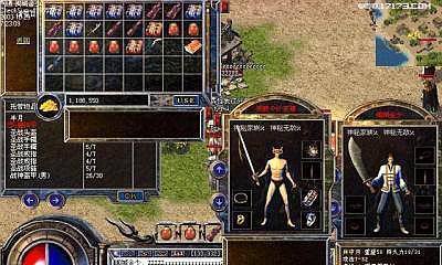 柯基发情征兆与应对方法｜宠物养护实用指南