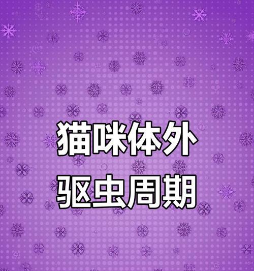 猫的驱虫周期及重要性｜猫咪健康守护全攻略