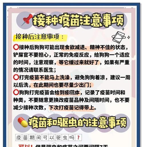 小狗疫苗接种计划与注意事项｜健康成长全攻略