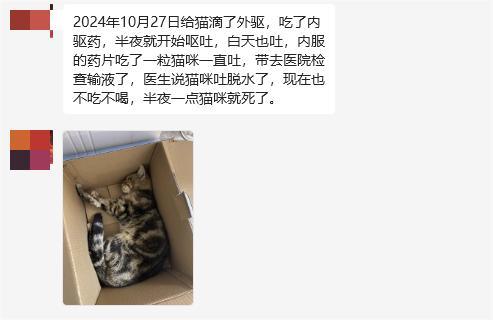 猫咪驱虫后呕吐死亡原因全攻略|科学用药保命指南 猫咪驱虫后呕吐死亡是怎么回事?