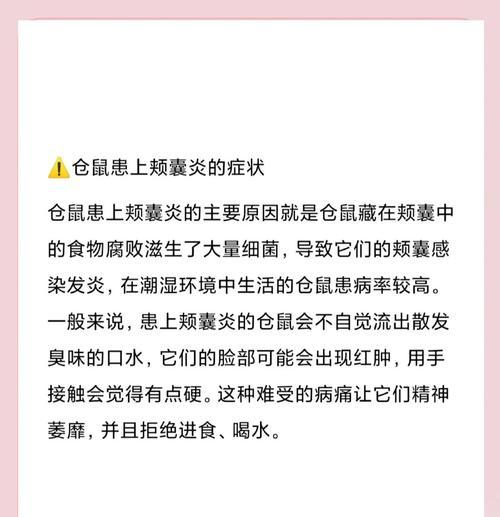 仓鼠颊囊食物储存时间全攻略｜影响因素揭秘