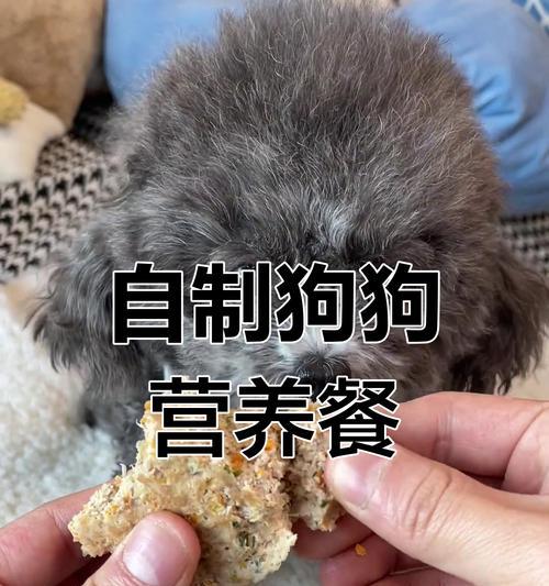 自制狗粮的保存时间和注意事项(自制狗粮的保存期限及存储要点) 自制狗粮的保存时间和注意事项(自制狗粮的保存期限及存储要点)