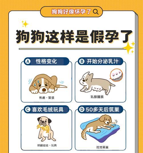 母狗生完小狗多久能参加CKU比赛?(什么时候开始训练是关键) 母狗生完小狗多久能参加CKU比赛?(什么时候开始训练是关键)