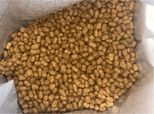 网易鲜蒸犬粮怎么样？