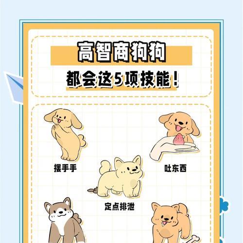 犬的智商全攻略｜揭秘狗狗智慧与学习能力