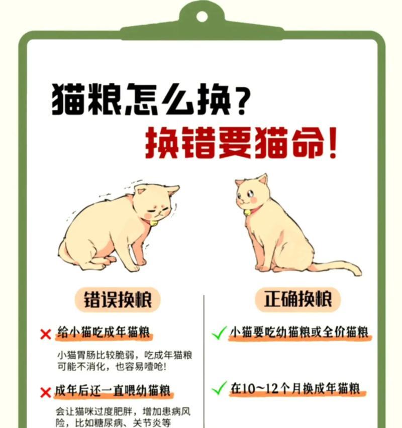 猫儿拉稀,需要持续关注多久?(解决猫儿拉稀问题的关键在于耐心和细心) 猫儿拉稀,需要持续关注多久?(解决猫儿拉稀问题的关键在于耐心和细心)