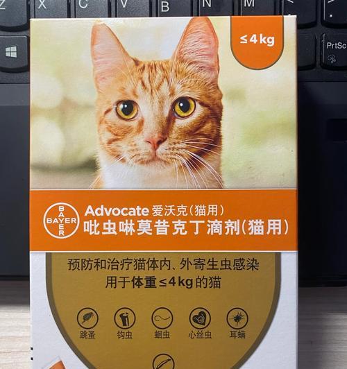 体外驱虫产品起效时间全攻略｜如何快速见效