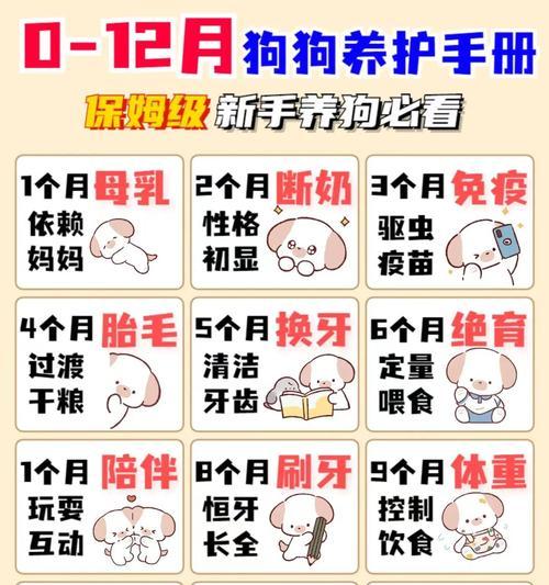 母狗产后洗澡最佳时间｜实用指南保护母犬幼犬健康