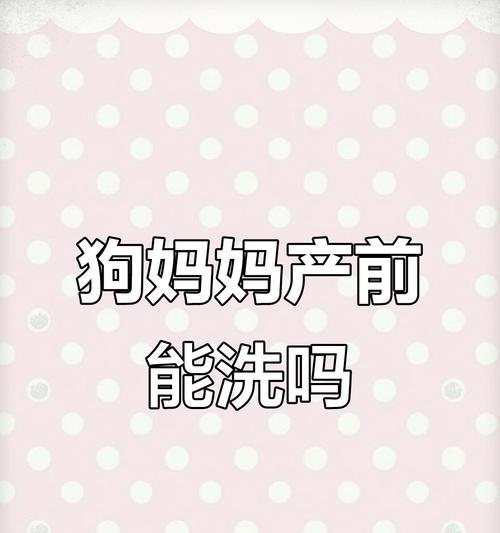 母狗产后洗澡最佳时间｜实用指南保护母犬幼犬健康