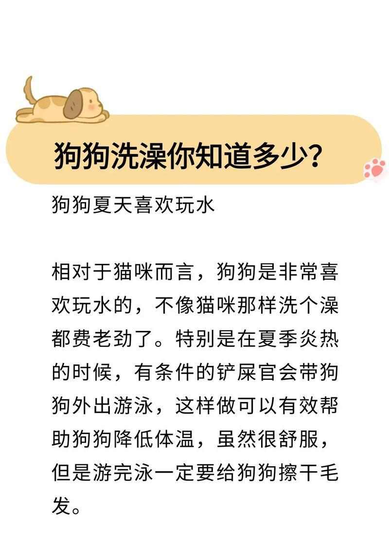 金毛洗澡频率探讨（探究金毛洗澡的最佳频率及注意事项）