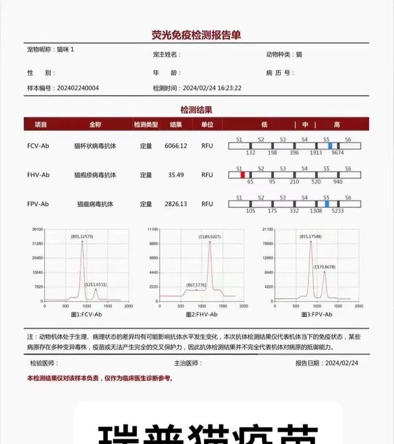 以猫三联打多久?(探讨猫咪在玩耍时持续三连击的时间) 以猫三联打多久?(探讨猫咪在玩耍时持续三连击的时间)