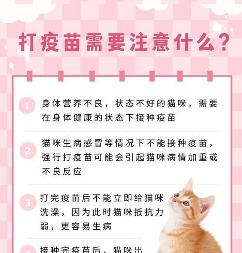 以猫三联打多久?(探讨猫咪在玩耍时持续三连击的时间) 以猫三联打多久?(探讨猫咪在玩耍时持续三连击的时间)
