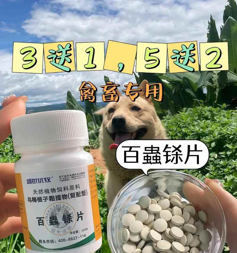 狗狗驱虫的代谢周期及关键因素(了解狗狗体内驱虫代谢的重要性及影响因素) 狗狗驱虫的代谢周期及关键因素(了解狗狗体内驱虫代谢的重要性及影响因素)