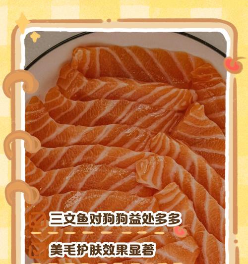 狗狗可以吃哪些人类食物？（了解狗狗饮食的安全与合理性）