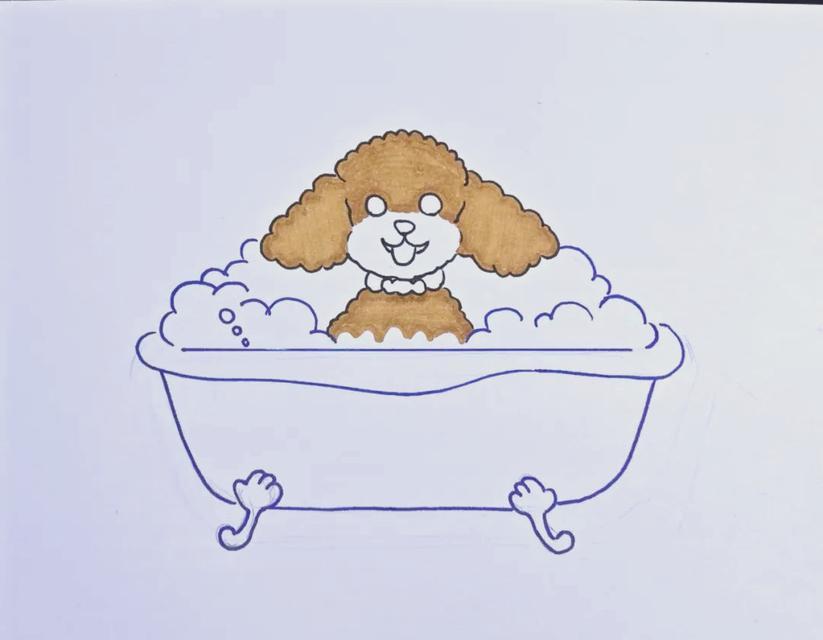 泰迪犬生产后多久可以洗澡？（了解泰迪犬生产后洗澡的适当时间及注意事项）