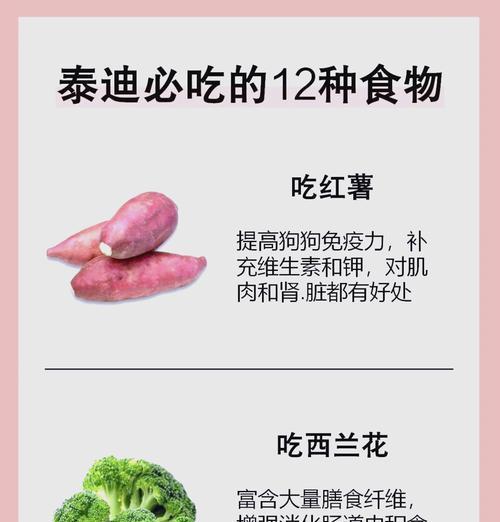 泰迪不能吃的水果全攻略｜守护宠物健康必备