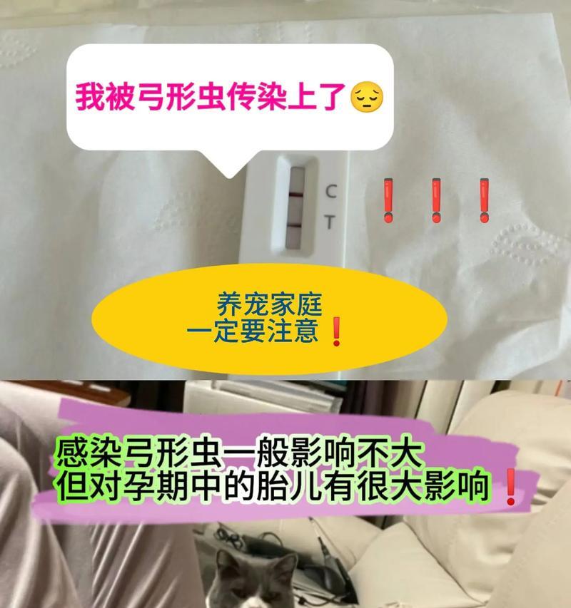 弓形虫防治（狗狗疫苗的有效性及科学预防策略）