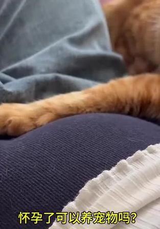 弓形虫防治（狗狗疫苗的有效性及科学预防策略）