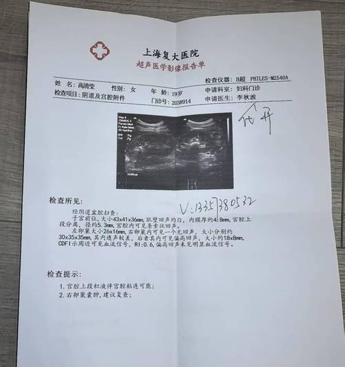 大狗的月经周期全攻略｜了解生理健康与繁殖管理