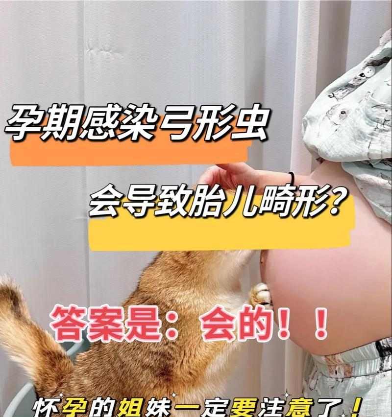 孕妇感染弓形虫的症状及防治方法｜母婴健康全攻略