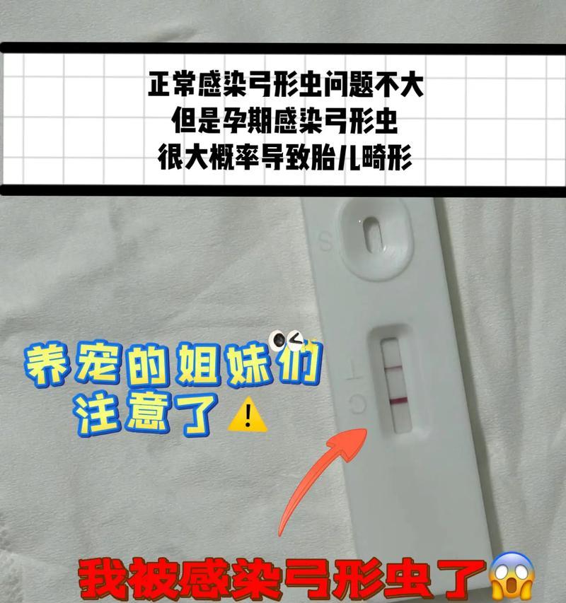 孕妇感染弓形虫的症状及防治方法｜母婴健康全攻略