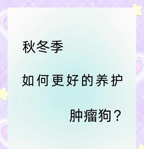 宠物狗感冒怎么办|快速缓解症状的实用指南 宠物狗感冒怎么办|快速缓解症状的实用指南