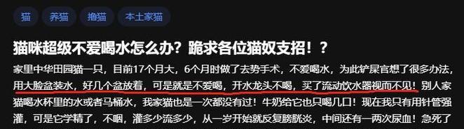 猫咪不爱喝水的原因及改善方法｜实用指南