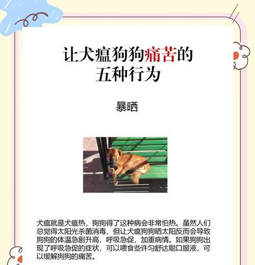 中药治疗犬瘟的有效方法|实用指南 中药治疗犬瘟的有效方法|实用指南