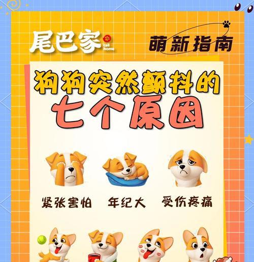 狗狗突然攻击人原因全攻略｜行为解析与应对技巧