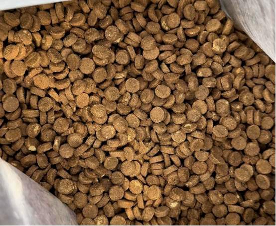 尾巴生活闪靓鲜焙鱼油猫粮评测|美毛增重好选择 尾巴生活猫粮测评