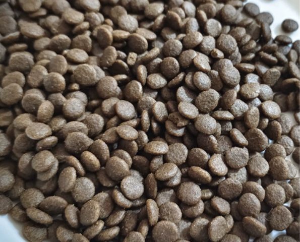 有鱼猫粮怎么样？