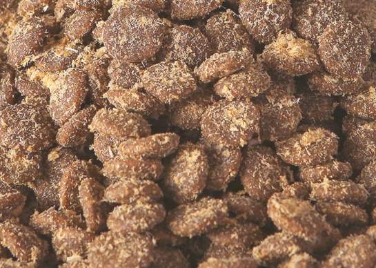 聪颖幼猫猫粮测评|高肉含量猫粮推荐 猫粮测评