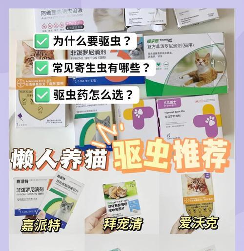 人的驱虫药使用指南｜正确用药保护健康