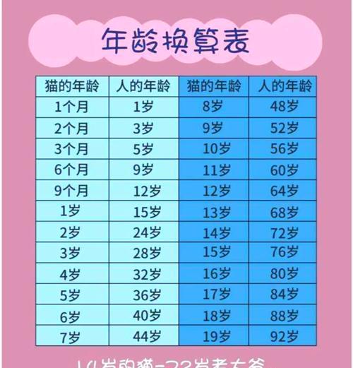 如何通过牙齿变化判断猫咪年龄|实用指南 如何通过牙齿变化判断猫咪年龄|实用指南