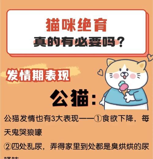 猫绝育后狂躁期多长时间｜实用指南