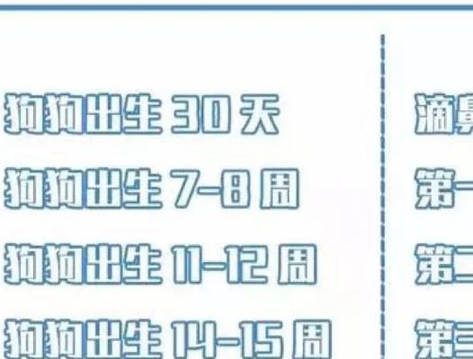 狗狗细小康复后多久打疫苗｜实用指南