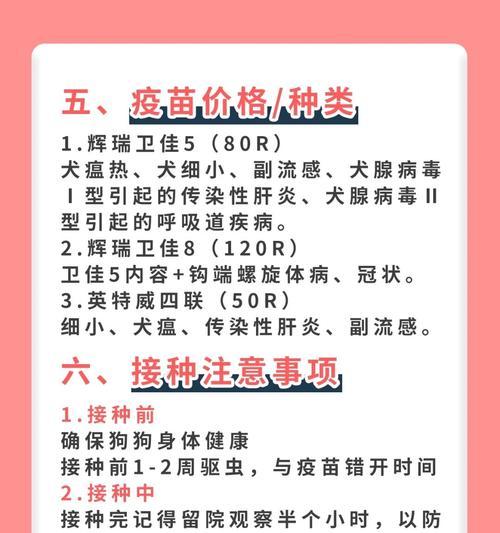 狗狗细小康复后多久打疫苗｜实用指南