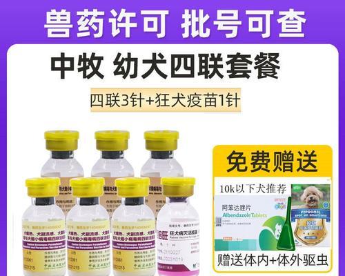 狗狗细小康复后多久打疫苗｜实用指南