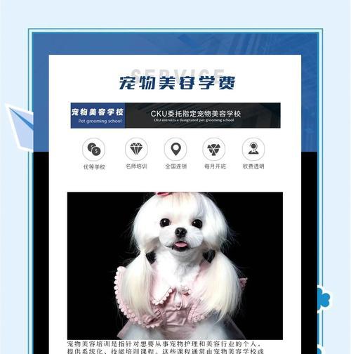 宠物美容师培训全攻略｜系统学习成为行业专家