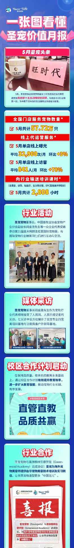 宠物美容师培训全攻略｜系统学习成为行业专家