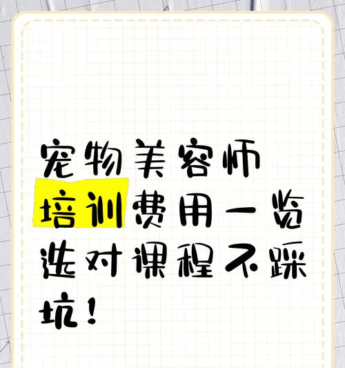 宠物美容师培训全攻略｜系统学习成为行业专家