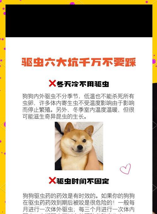 狗狗体外驱虫后洗脚时机全攻略｜科学护理足部健康