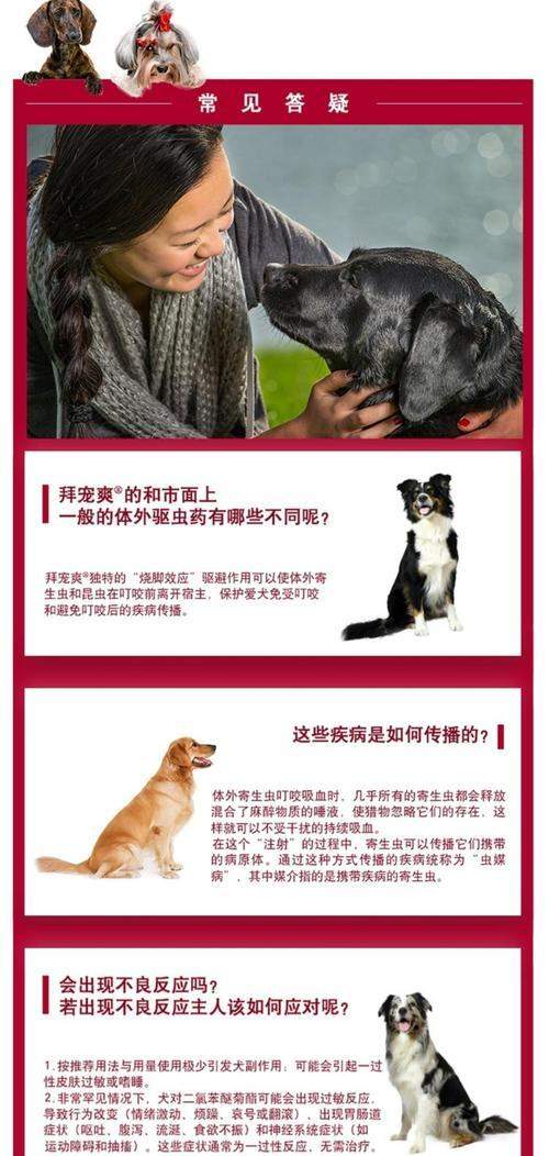 狗狗体外驱虫后洗脚时机全攻略｜科学护理足部健康