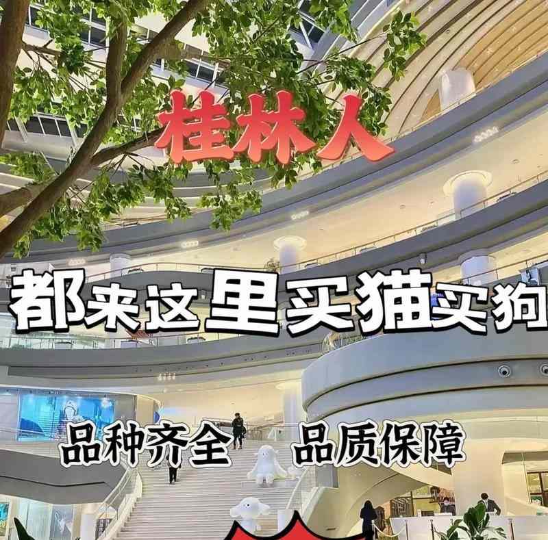 探寻桂林犬舍的独特魅力｜宠物住宿实用指南