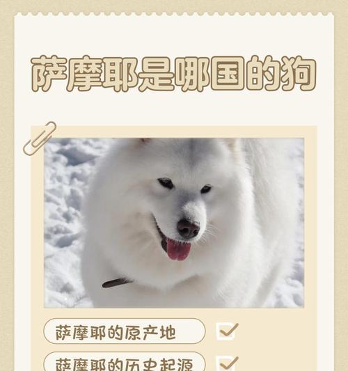 萨摩耶犬的性情特点及是否会咬人（了解这一可爱宠物的性格和特质，从而了解它是否有攻击性）